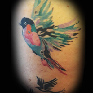 watercolorbird